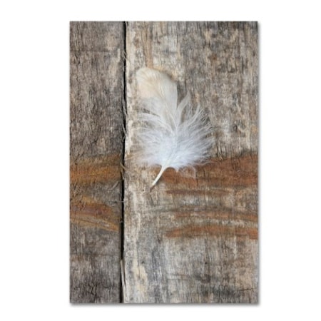 Cora Niele 'Feather On Wood I' Canvas Art,12x19